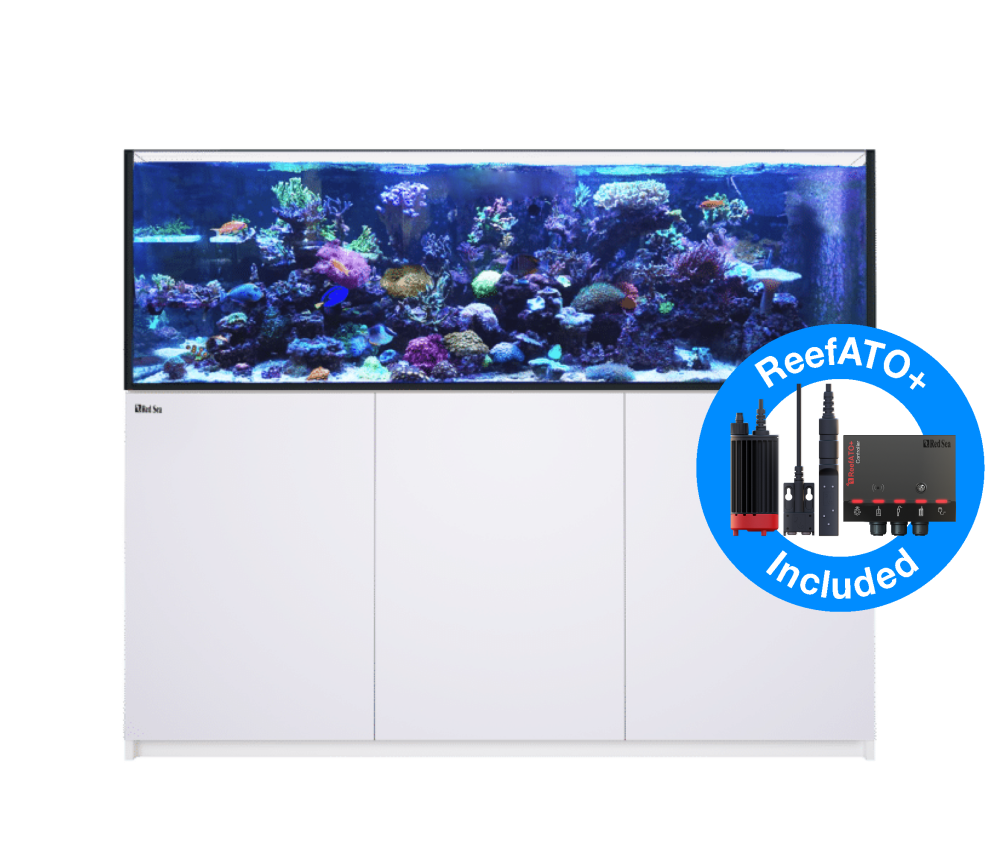 Red Sea Reefer 750 G2+ DELUXE Meerwasseraquarium Komplettset